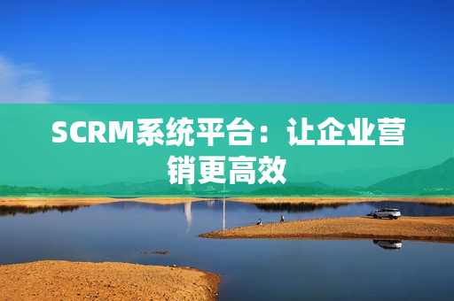 SCRM系统平台：让企业营销更高效