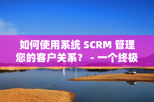 如何使用系统 SCRM 管理您的客户关系？ - 一个终极指南