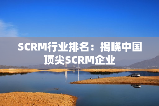 SCRM行业排名：揭晓中国顶尖SCRM企业