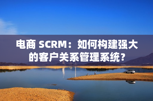 电商 SCRM：如何构建强大的客户关系管理系统？