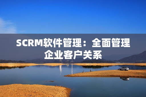 SCRM软件管理：全面管理企业客户关系