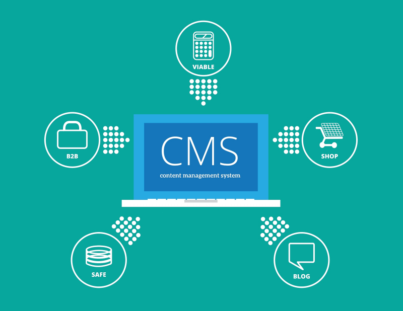 CMS客服公司- 增强客户满意度的关键